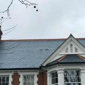 roof-damagecontrol